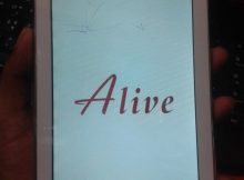 Alive P88W Flash File Without Password